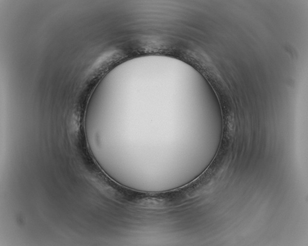 X0000113000691200909101757