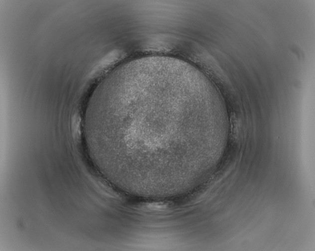 X0000113000692200909101757