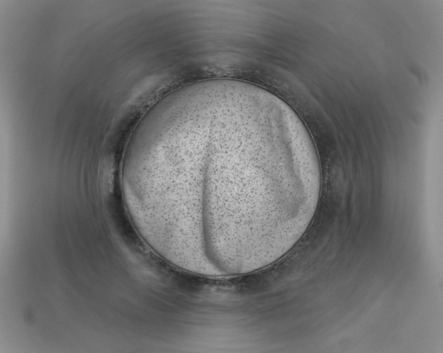 X0000113000694200909101757