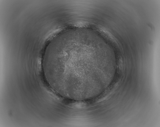 X0000113000696200909101757