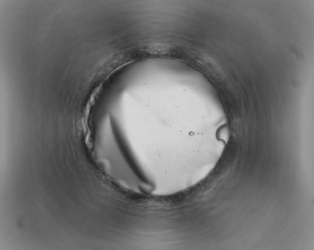 X0000113000697200909101757