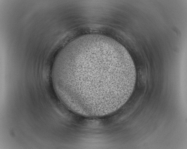 X0000113000698200909101757