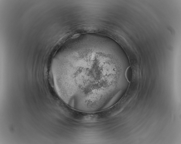 X0000113000700200909101757