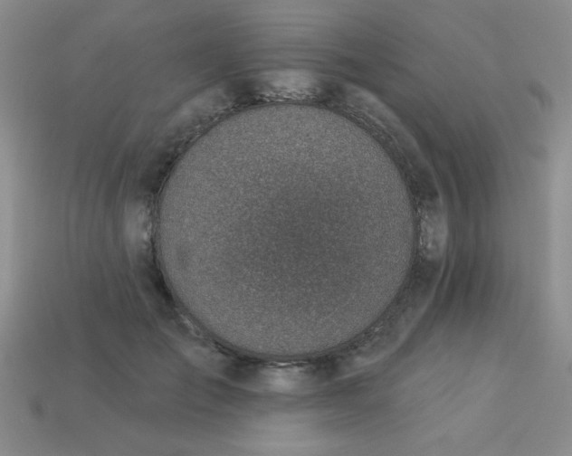 X0000113000701200909101757