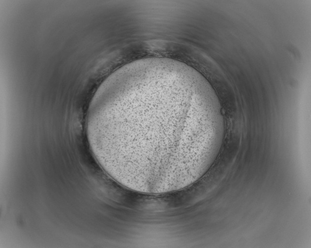 X0000113000702200909101757