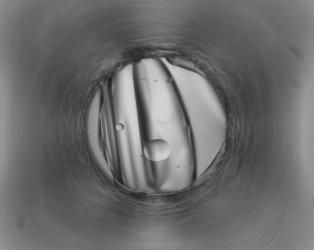 X0000113000704200909101757