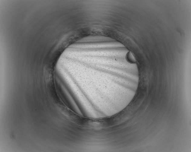 X0000113000706200909101757