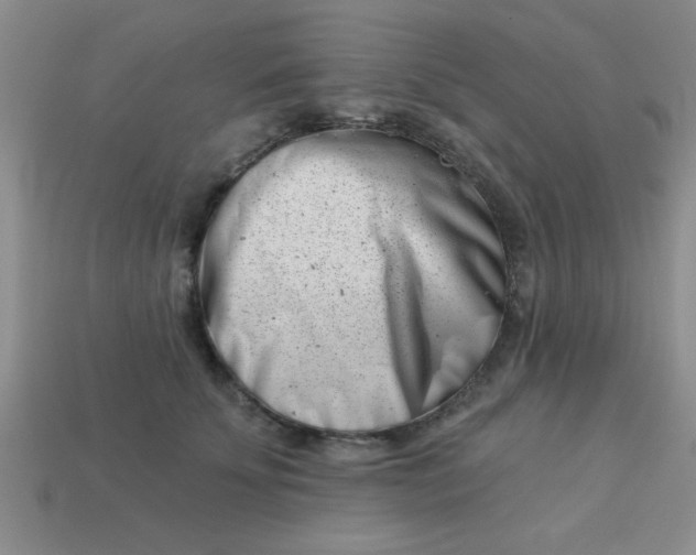 X0000113000707200909101757