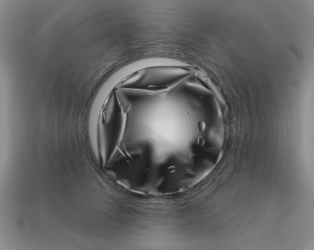 X0000113000708200909101757