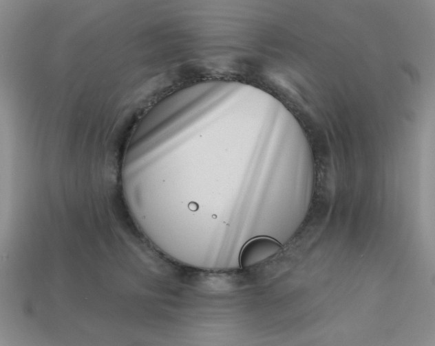 X0000113000710200909101757