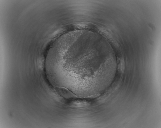 X0000113000712200909101757