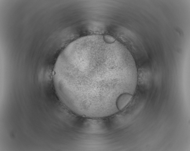 X0000113000713200909101757