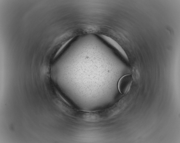 X0000113000714200909101757