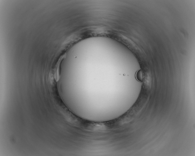 X0000113000715200909101757