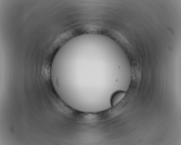 X0000113000718200909101756