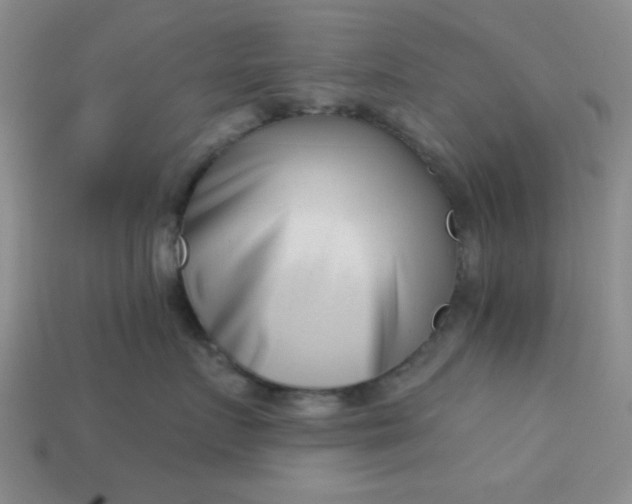 X0000113000719200909101756