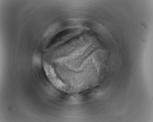 X0000113000720200909101756