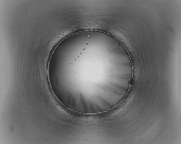 X0000113000721200909101756