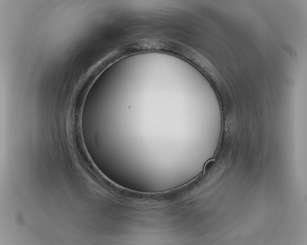 X0000113000722200909101756