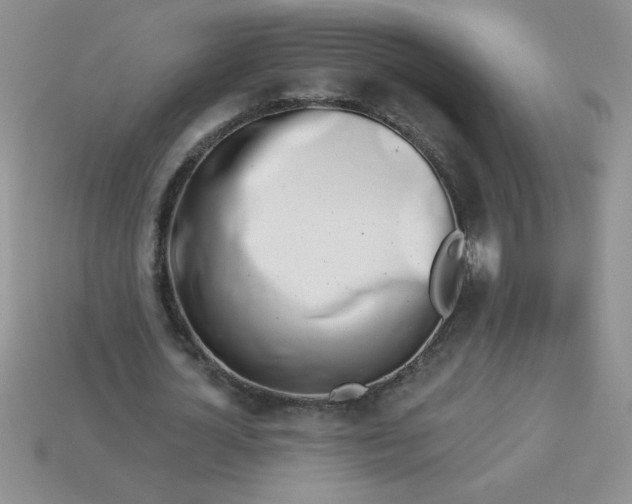 X0000113000724200909101756