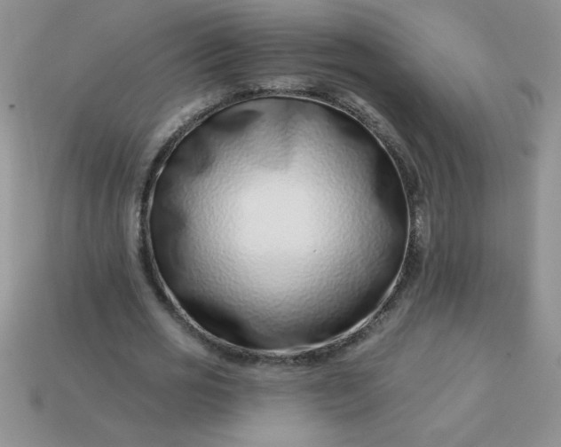 X0000113000725200909101756