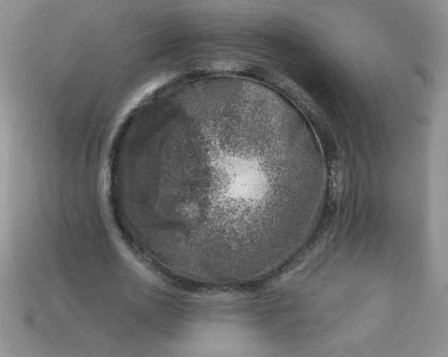 X0000113000726200909101756