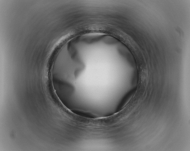 X0000113000727200909101756