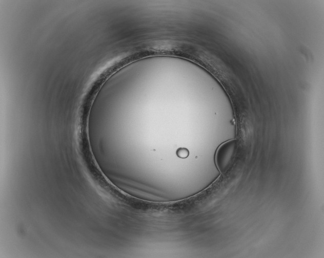 X0000113000728200909101756