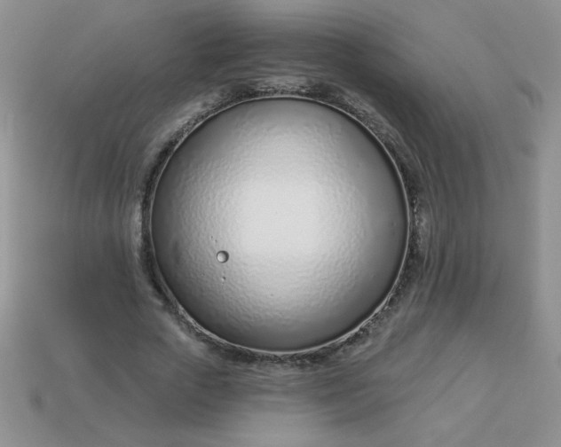 X0000113000729200909101756