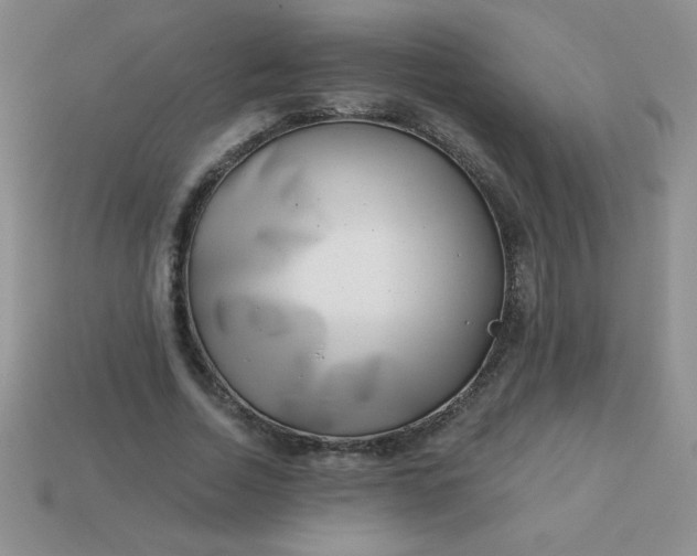 X0000113000730200909101756