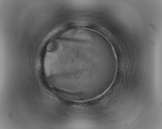 X0000113000731200909101756