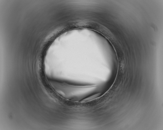 X0000113000732200909101756