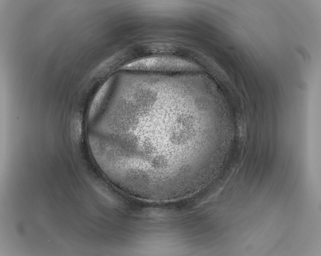 X0000113000733200909101756