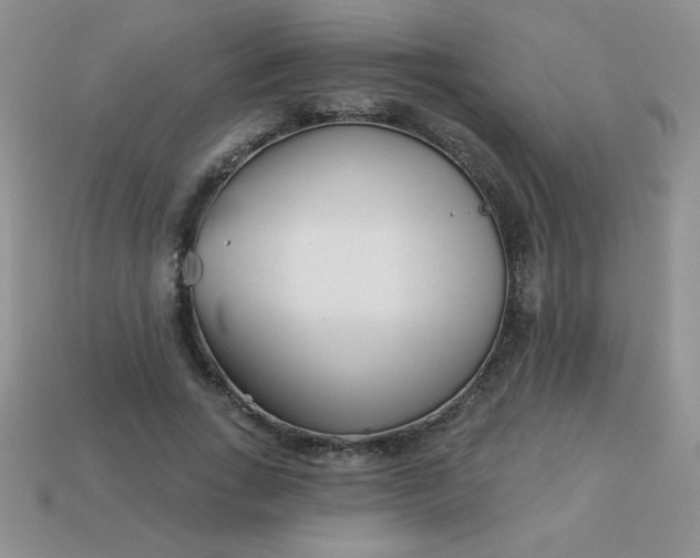 X0000113000735200909101756