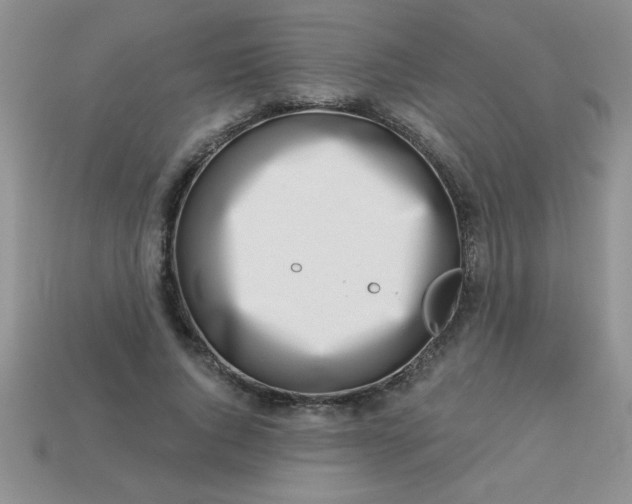 X0000113000736200909101756