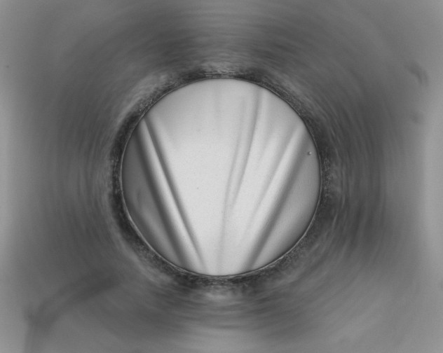 X0000113000738200909101756