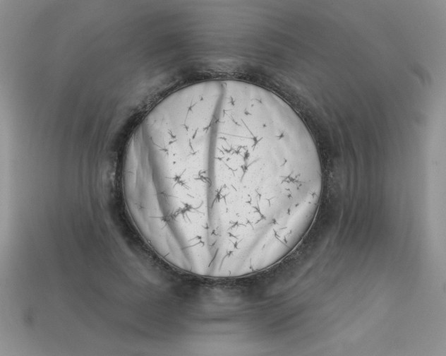 X0000113000739200909101756