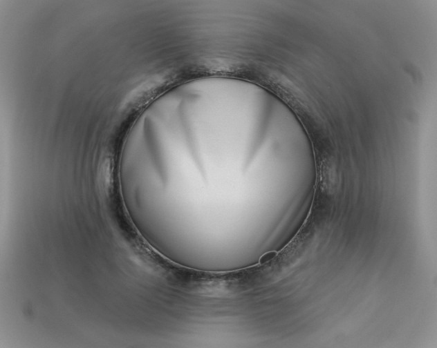 X0000113000740200909101756