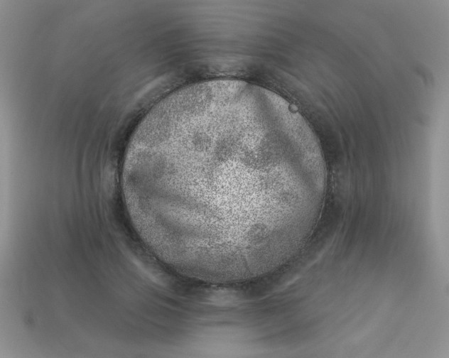 X0000113000741200909101756