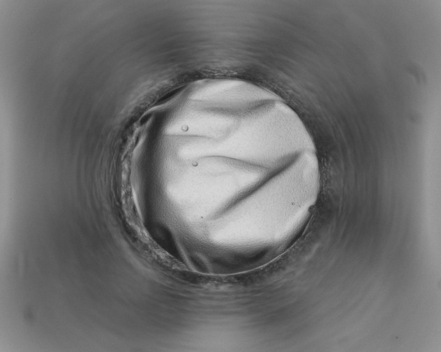 X0000113000742200909101756