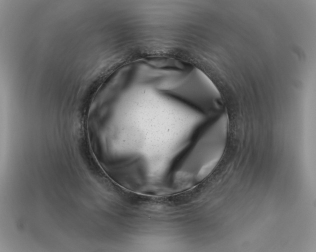 X0000113000743200909101756