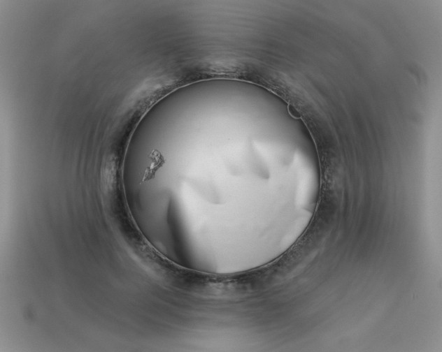 X0000113000744200909101756