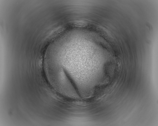 X0000113000745200909101756