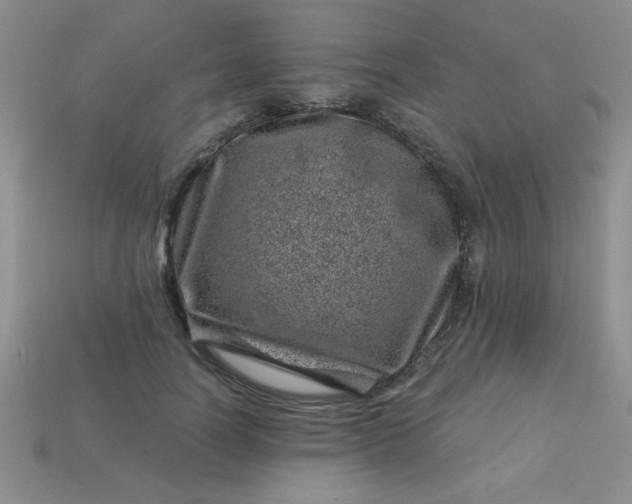 X0000113000746200909101756