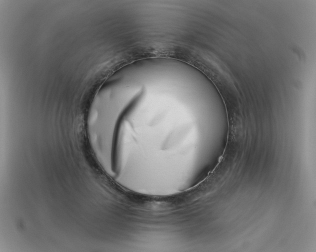 X0000113000748200909101756