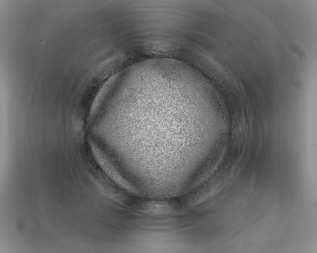 X0000113000749200909101756