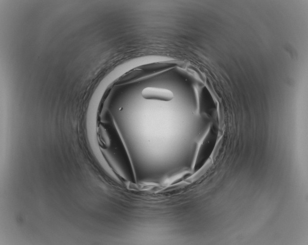 X0000113000750200909101756