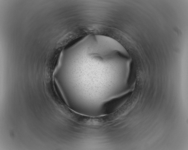 X0000113000751200909101756