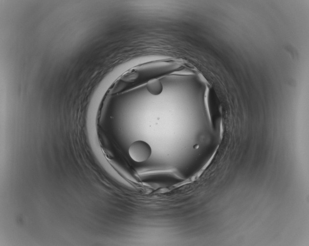 X0000113000752200909101756