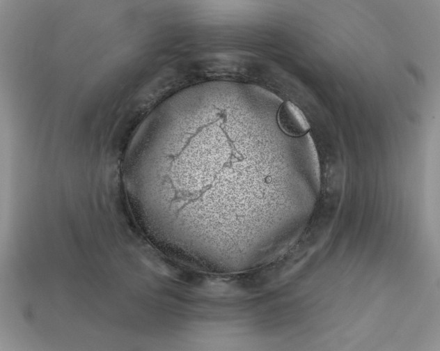 X0000113000753200909101756